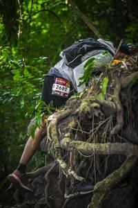 BIB: 2682
                            <button type="button" onclick="openModal(7001956)" class="btn btn-primary btn-sm float-right btn-popup" data-toggle="modal" data-target=".modal-high-quality">
                        <i class="fas fa-shopping-cart"></i> Add to Cart
                    </button>
                                            <button type="button" onclick="isThisMe(7001956, true)" class="btn btn-success btn-sm float-right btn-popup btn-isme hidden" data-toggle="tooltip" data-placement="bottom" title="นี่คือรูปของคุณใช่ไหม คลิกที่นี่เพื่อเอาเข้าอัลบั้ม">
                        <i class="fas fa-plus"></i> Add to album
                    </button>
                    <button type="button" onclick="isThisMe(7001956, false)" class="btn btn-warning btn-sm float-right btn-popup btn-isnotme hidden">
                        <i class="fas fa-ban"></i> Remove from album
                    </button>